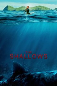 Nonton The Shallows 2016