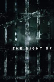 Nonton The Night Of