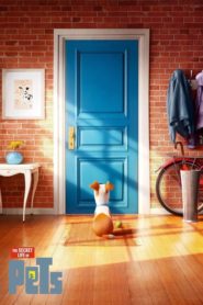 Nonton The Secret Life of Pets 2016