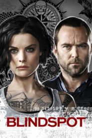 Nonton Blindspot