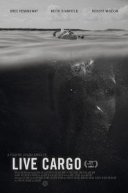 Nonton Live Cargo 2016