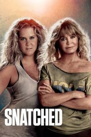 Nonton Snatched 2017