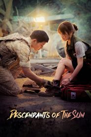 Nonton Descendants of the Sun