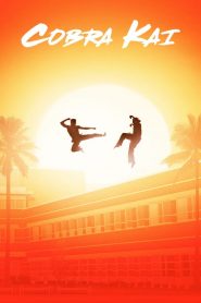Nonton Cobra Kai