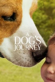 Nonton A Dog’s Journey 2019