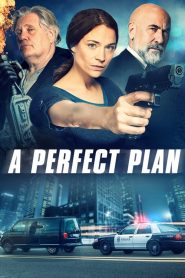 Nonton A Perfect Plan 2020