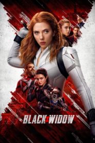 Nonton Black Widow 2021