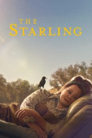 Nonton The Starling 2021