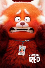 Nonton Turning Red 2022