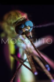 Nonton Mosquito 2017