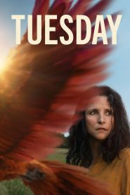 Nonton Tuesday 2023