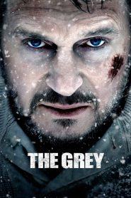 Nonton The Grey 2011
