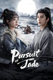 Nonton Pursuit of Jade 2026