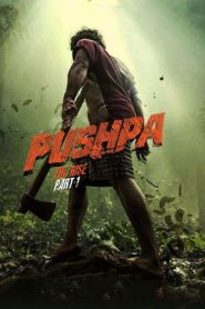 Nonton Pushpa: The Rise Part 1 2021